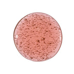 Fresh Lips Lip Oil - GL04